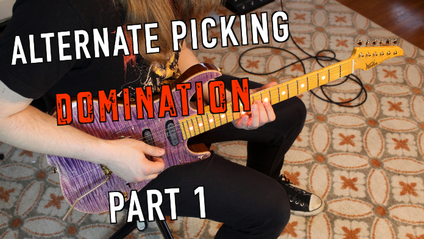 Product image for Alternate Picking Domination
