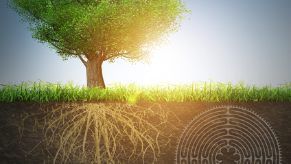 Product image for Practice: Stress Management and the Labyrinth