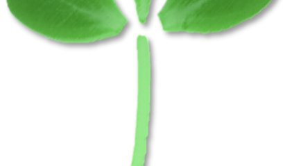 Product image for Home Microgreens Production