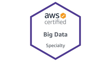 Product image for AWS Certified Big Data