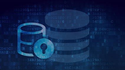 Product image for Database Development Bundle
