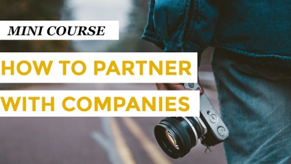 Product image for How to Partner with Companies