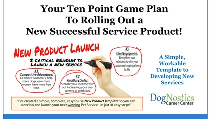 Product image for Your Ten Point Game Plan To Rolling Out A New Successful Service Product