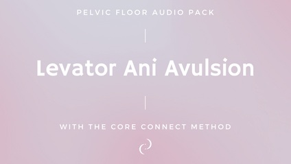 Product image for Pelvic Floor Audio Pack for Levator Ani Avulsion