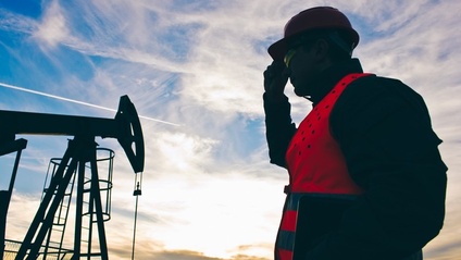 Product image for Petrochemicals - Complete Guide to Process & Industry