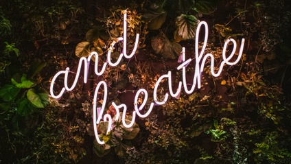 Product image for Nervous System Reset Breathing