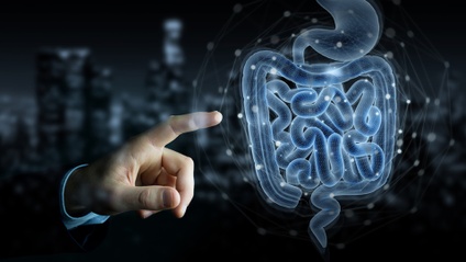 Product image for Weeding, Seeding, and Feeding: Building a Healthy Microbiome | Archive