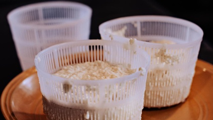 Product image for The Art of Ricotta