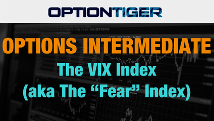 Product image for The VIX or Fear Index