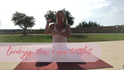 Product image for Ländrygg, stress & djup trötthet