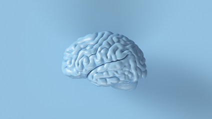 Product image for Neurology - Keto for Migraines, Epilepsy and Alzheimer's Disease
