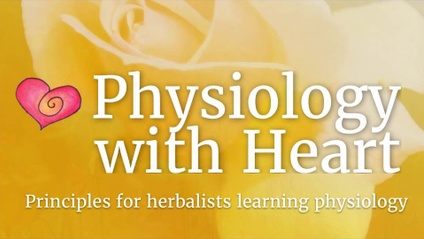 Product image for Physiology With Heart
