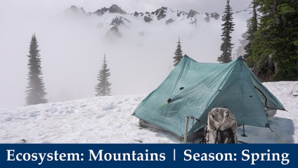 Product image for 📷⛺ Ep. 6: Wilderness Photography Expeditions | Foggy Mountains of the Northwest Coast