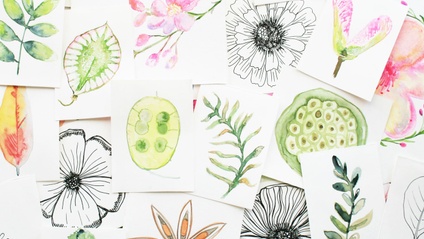 Product image for EP1: Draw and Paint Botanical Motifs