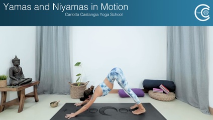 Product image for Yamas and Niyamas in Motion
