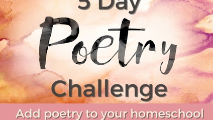 Product image for Poetry Challenge