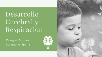 Product image for Respiration and Brain Development [Spanish]