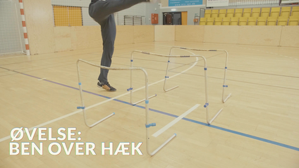Product image for Målmand - Ben over hæk