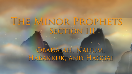 Product image for MINOR PROPHETS - SECTION III