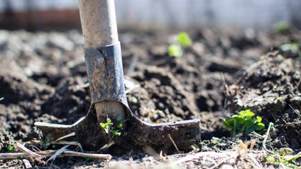 Product image for How to use Compost in your Garden (76min)