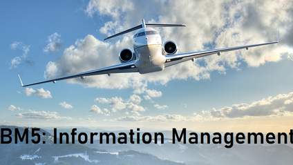 Product image for BM5: Information Management