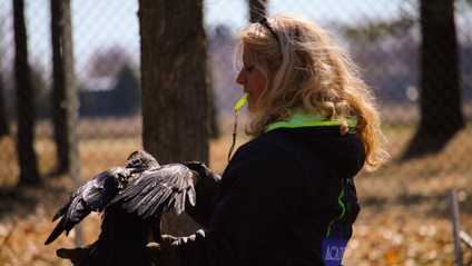Product image for Intervenant en comportement animal