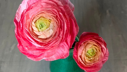 Product image for Paper Ranunculus