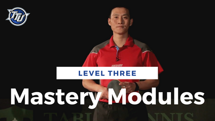 Product image for Level 3: Mastery Modules