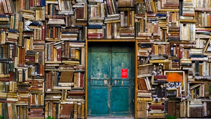 Product image for Know Your Publishing Options