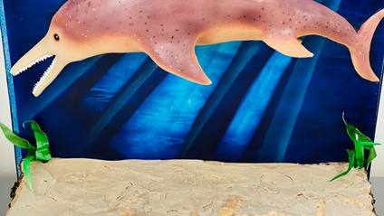 Product image for Ichthyosaurs