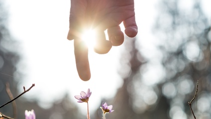 Product image for Aroma Point Therapy Fundamentals