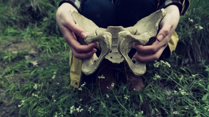 Product image for Tending The Pelvic Bowl: Pelvic Care with Essential Oils