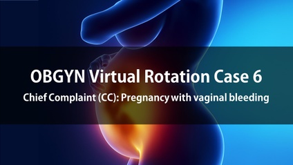 Product image for OBGYN Virtual Rotation Case 6  Chief Complaint (CC): Pregnancy with vaginal bleeding