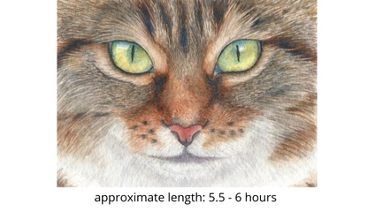 Product image for Tabby Cat in Watercolor