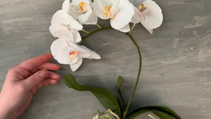 Product image for Paper Phalaenopsis Orchid