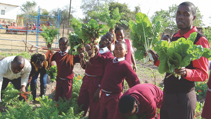 Product image for Become a Reel Gardening Volunteer