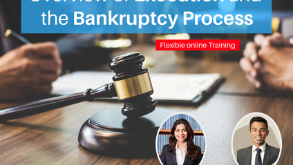 Product image for (English) Overview of Execution and the Bankruptcy Process by Avinash Kamalanathan & Lavinia Kumaraendran - (Thomas Philip Advocates & Solicitors)