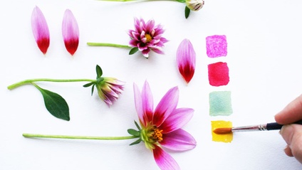 Product image for EP7: Color Palettes Inspired by Nature