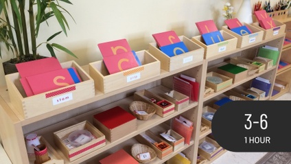 Product image for Learning Letters