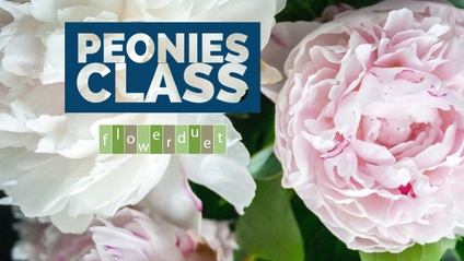 Product image for Peonies Flower Class