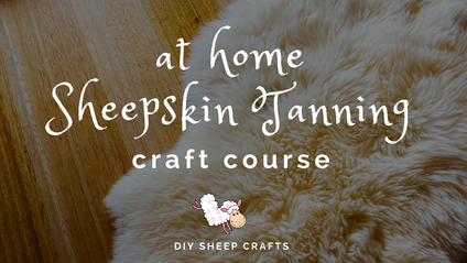 Product image for At Home Sheepskin Tanning Course