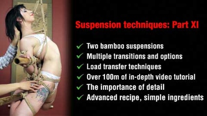 Product image for Suspension techniques: Part XI