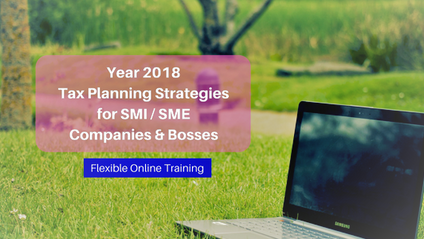 Product image for (English) Tax Planning Strategies for SMI / SME Companies & Bosses by Adrian Yeo Chartered Accountants