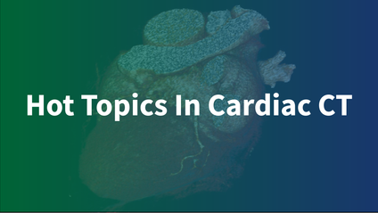 Product image for Hot Topics In Cardiac CT
