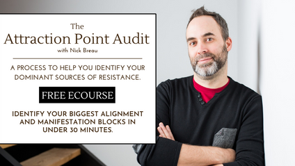 Product image for The Attraction Point Audit Process (FREE)