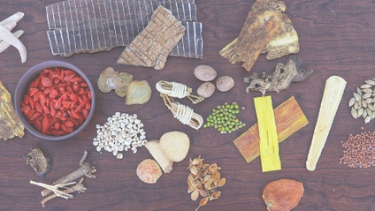 Product image for TCMStudy Single Herbs Review Course