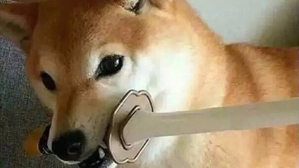 Product image for Such Nindoge