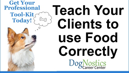 Product image for Answer Your Client's Top 10 Questions About Using Food in Dog Training