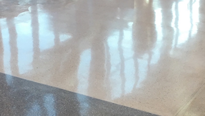 Product image for How to Polish Marble and Terrazzo