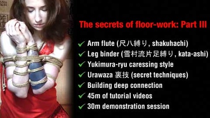 Product image for The secrets of floor-work: Part III